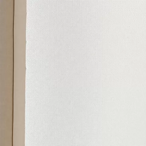Styropian z gotowa elewacja